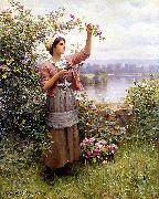 Daniel Ridgeway Knight Gathering Roses china oil painting reproduction